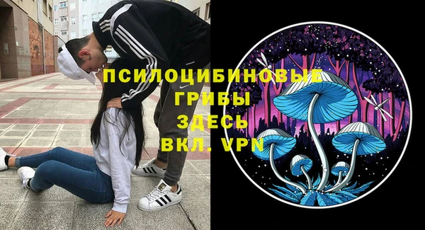 крисы Нязепетровск