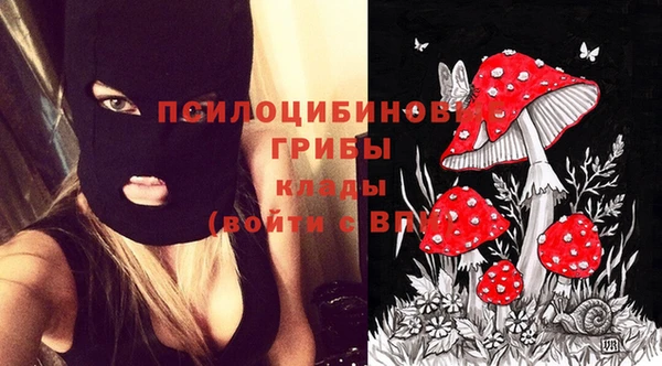 MESCALINE Новозыбков