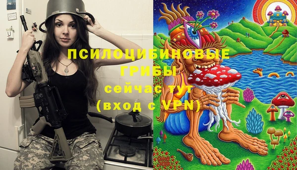 крисы Нязепетровск