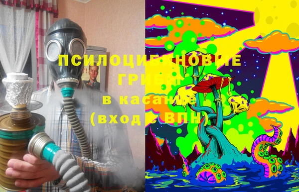 спайс Няндома