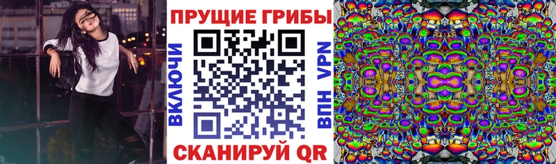 продажа наркотиков  Усмань  Псилоцибиновые грибы Psilocybine cubensis 